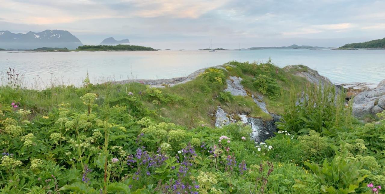 BEDEHUSET Basecamp Senja Hotel Skaland Eksteriør billede